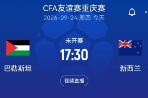 即将对决：新西兰国际赛对阵巴勒斯坦，本·韦恩领衔出战